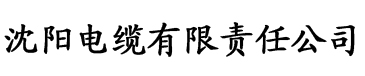 鲁先生视频电缆厂logo